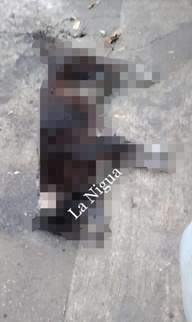 Envenenamiento masivo en la colonia La Posta.