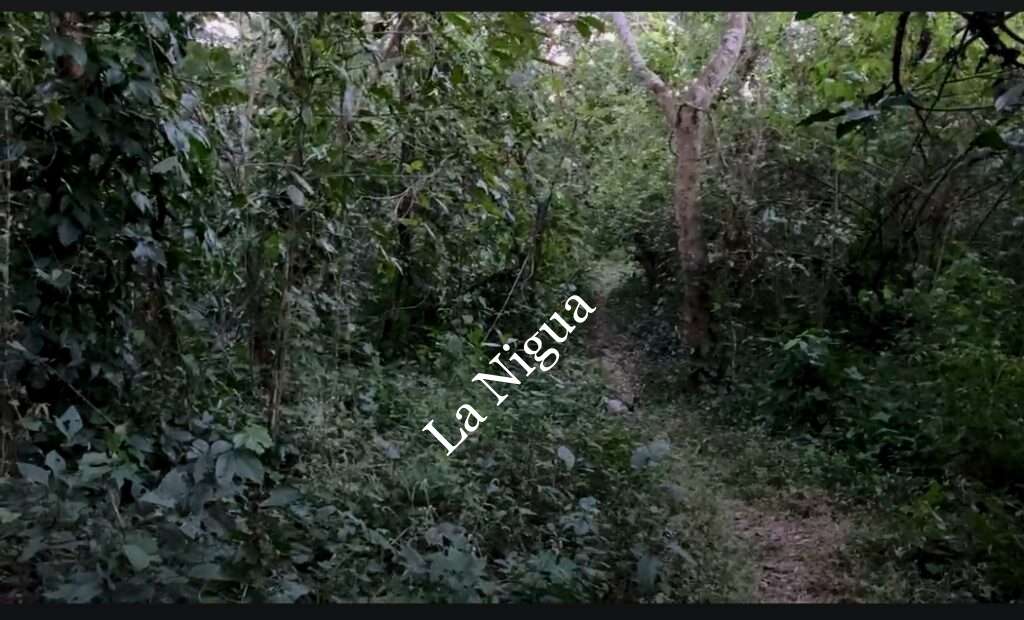 Encuentran cuerpo sin vida en Acayucan