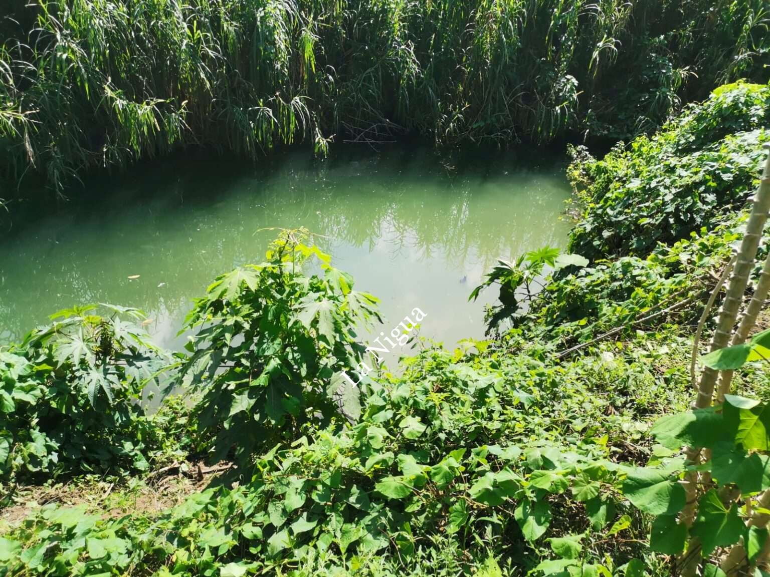 Se ahoga papanteco en una poza