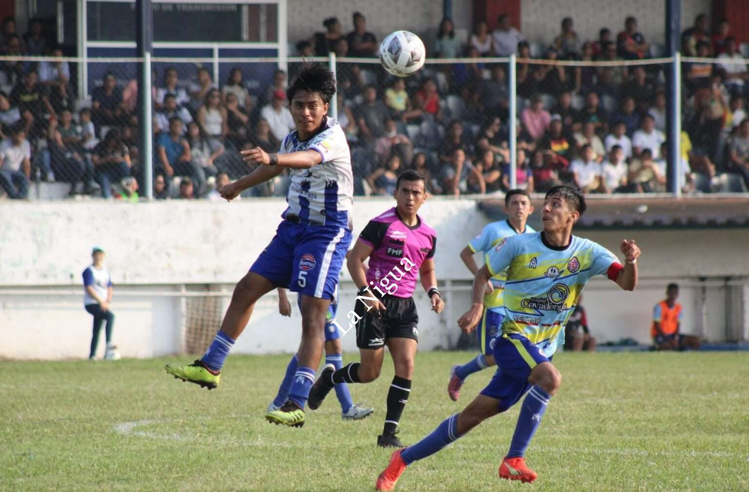 Albiazules recibe a Delfines UGM;Caballeros visita a Atlante Xalapa