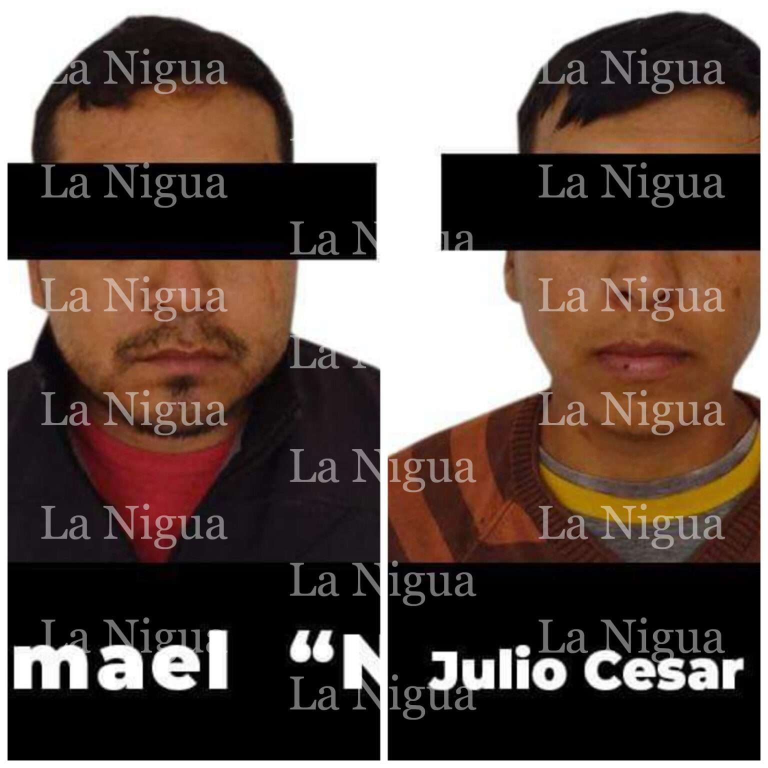 Interviene Policía Estatal a par de sujetos por presunto abigeato en Papantla