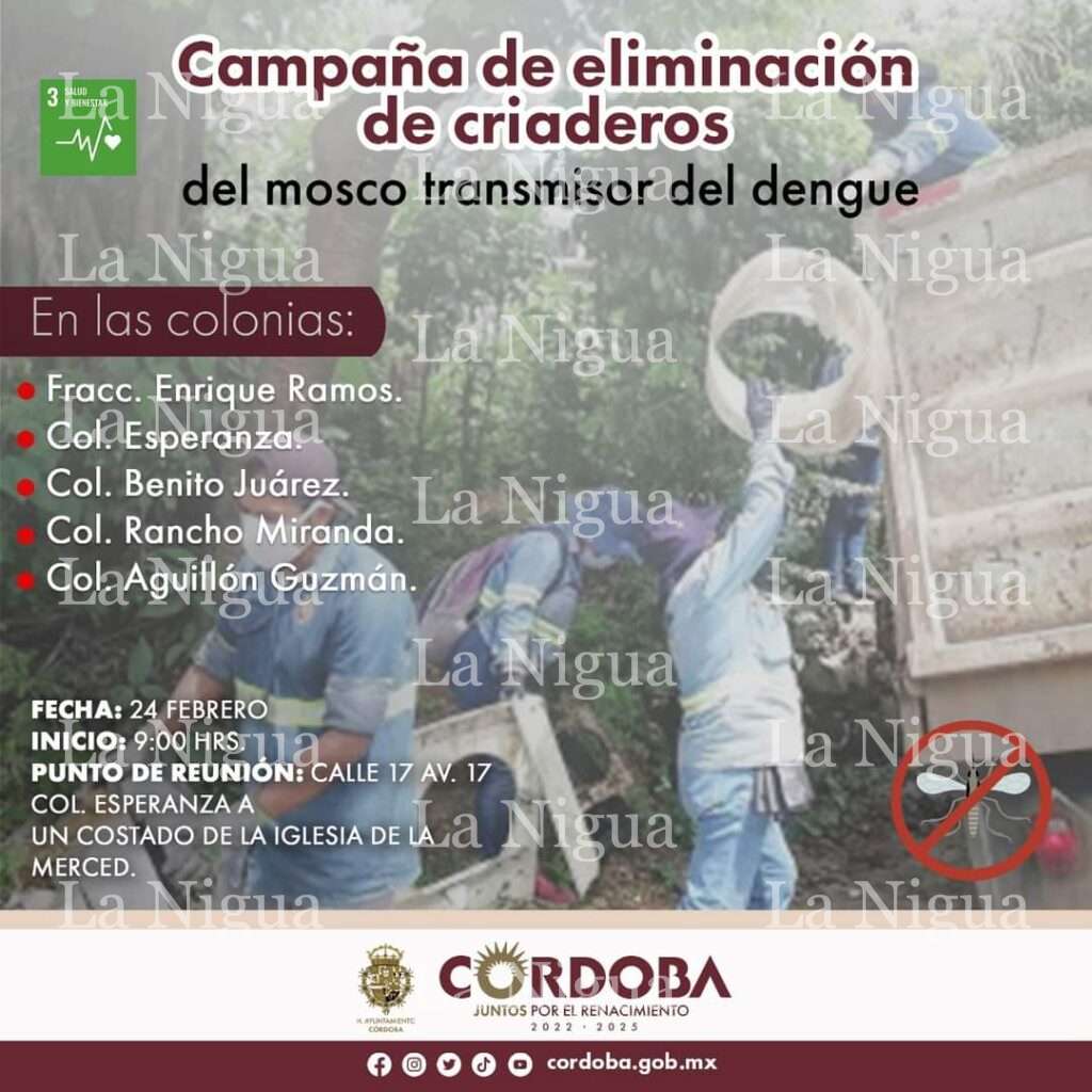 Eliminarán criaderos de mosco en cinco colonias