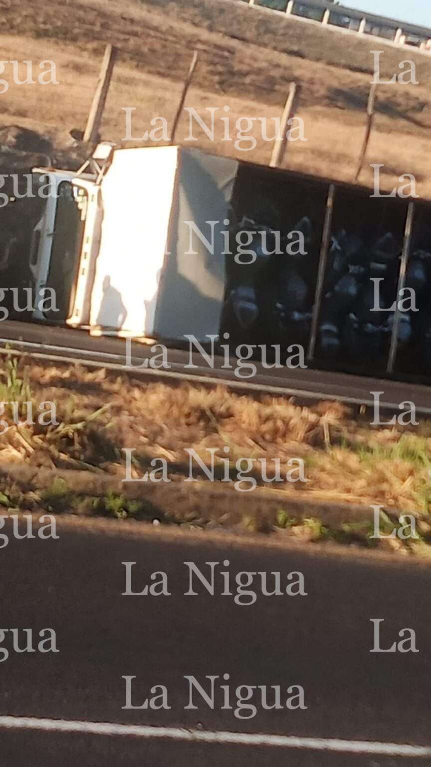 Camión se vuelca en Emiliano Zapata