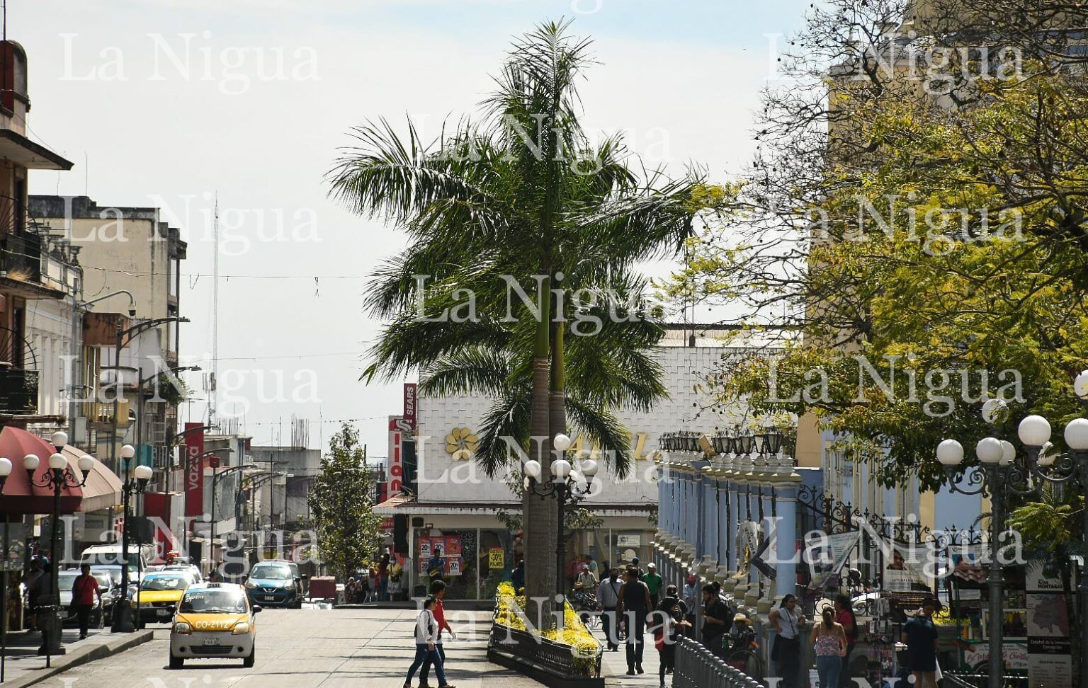 Emite UMPC recomendaciones ante evento de surada que continuará hasta el jueves