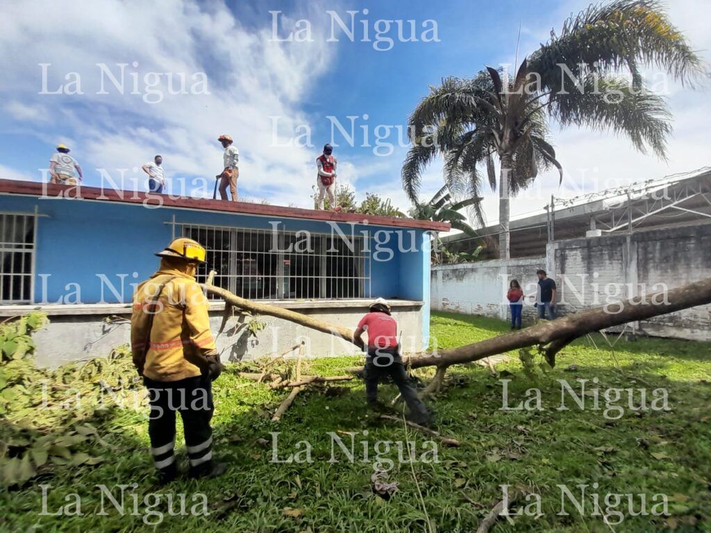 Reporta Protección Civil saldo blanco tras surada
