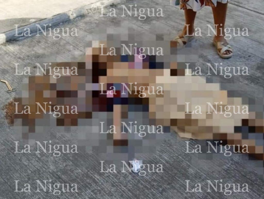 Fallece papanteca, al caer en el patio de su domicilio