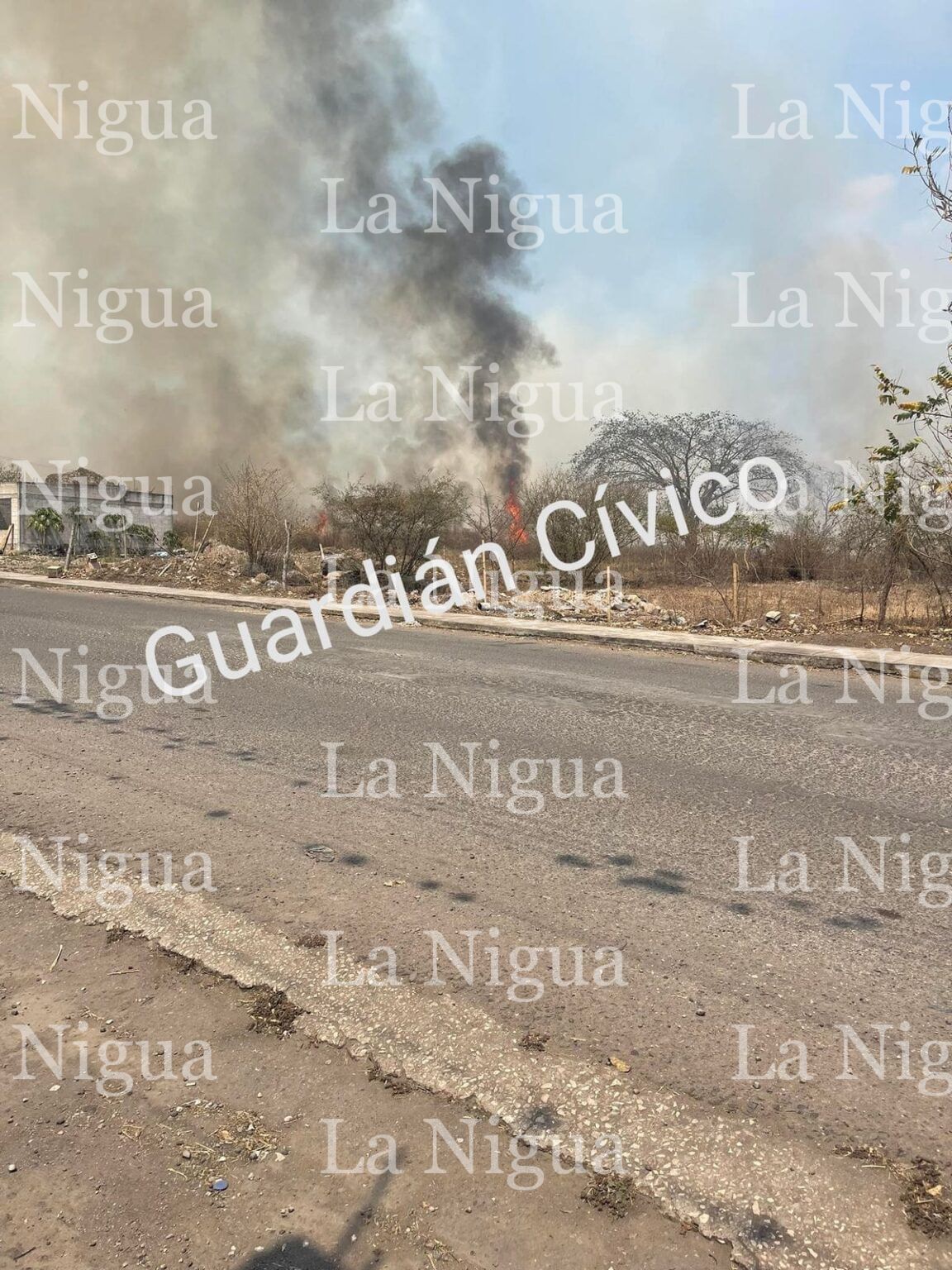 Reportan incendio de pastizal en Paso del Macho