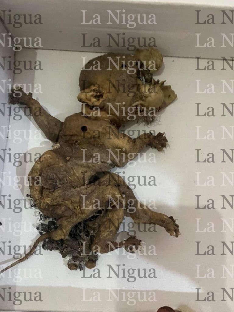 HALLAN SUPUESTO DUENDE O NAHUAL EN HIDALGO