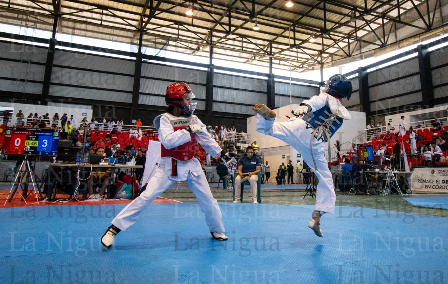 Gana Córdoba 9 medallas en Taekwondo de Juegos Conade 2023