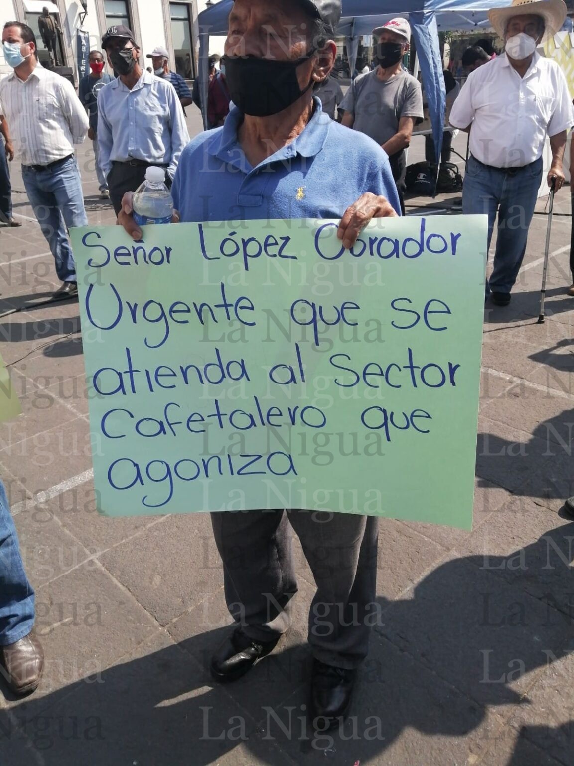 Productores de café piden que gobierbo federal les otorgue apoyos fiscales