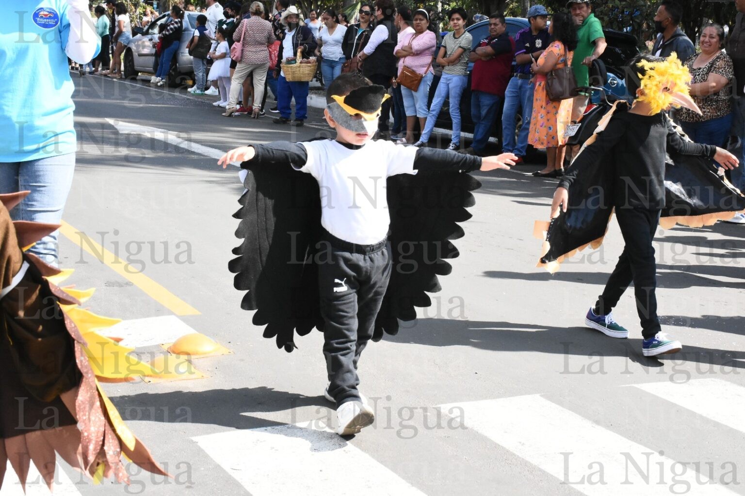 Encabeza DIF colorido desfile de primavera