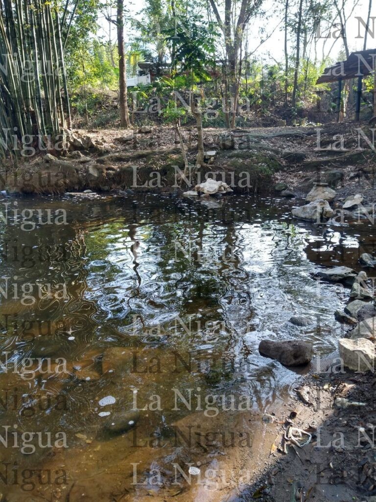 PMA, SEMARNAT y CONAGUA pecan de omisión ante ecocidio en ríos