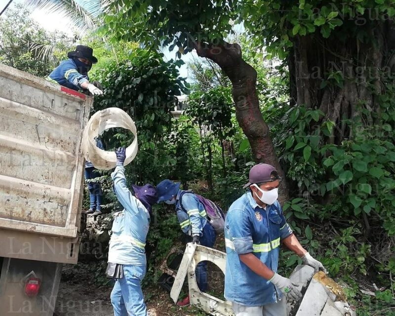 Eliminarán criaderos para prevenir dengue en Santa Margarita y Nuevo Toxpan