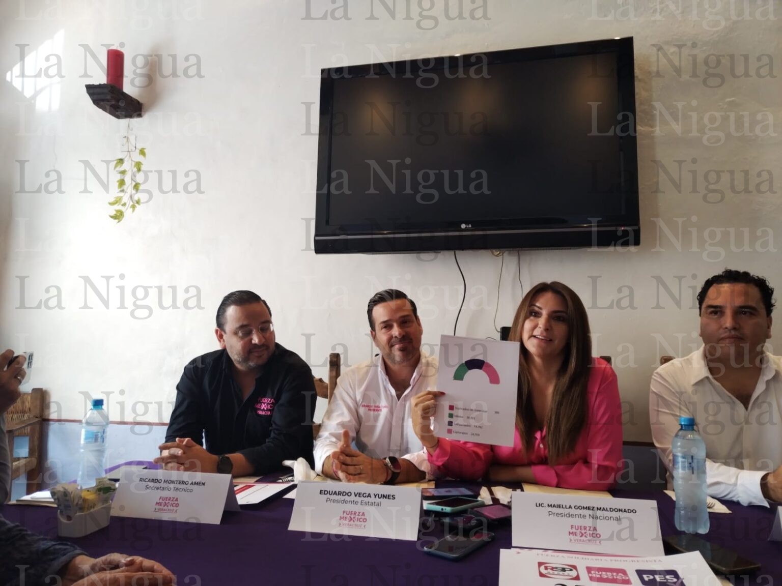 Buscarán registro para el Partido Fuerza Solidaria Progresista