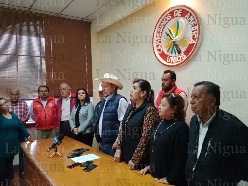 La CNC tendrá candidato para el CDE del PRI