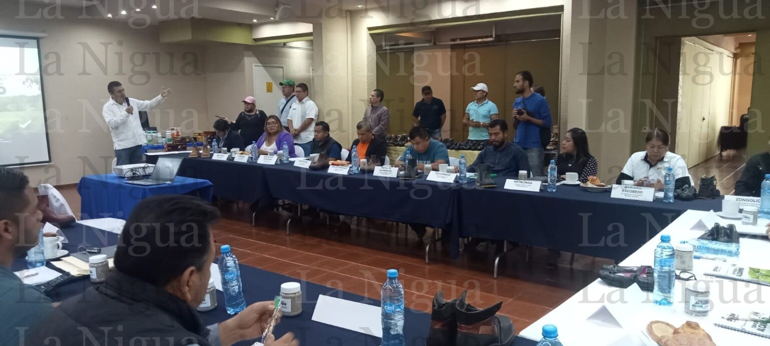 PRESENTAN EL PROGRAMA “CON FUERZA AL CAMPO”