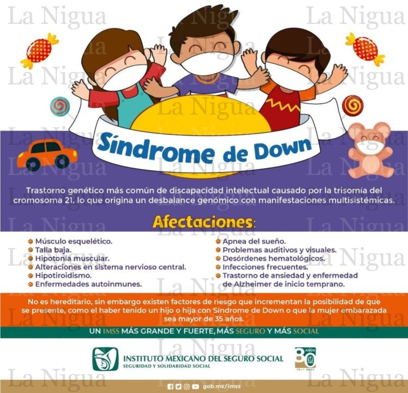 Informa IMSS Veracruz Sur sobre Síndrome de Down