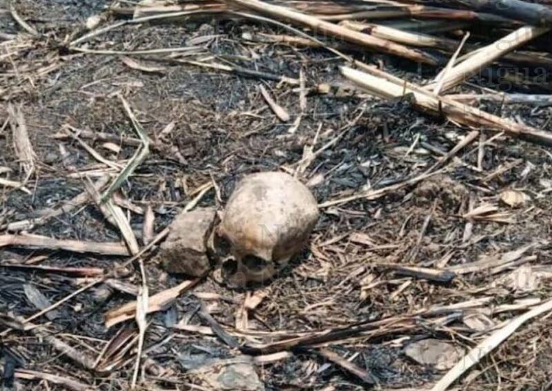 Hallan cráneo en zona de  Las Yakas de Potrero