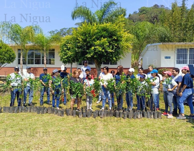 Siembra Ayuntamiento y empresa industrial 140 árboles por Día de la Madre Tierra