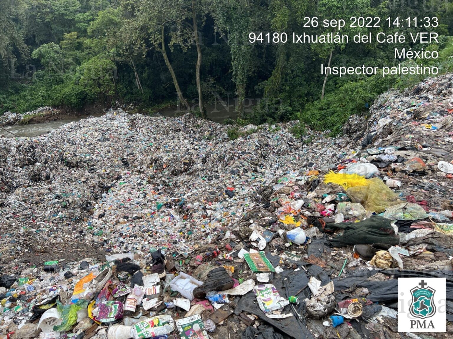 Autoridades de Ixhuatlán del Café incurrieron en acciones criminales al medio ambiente: PMA