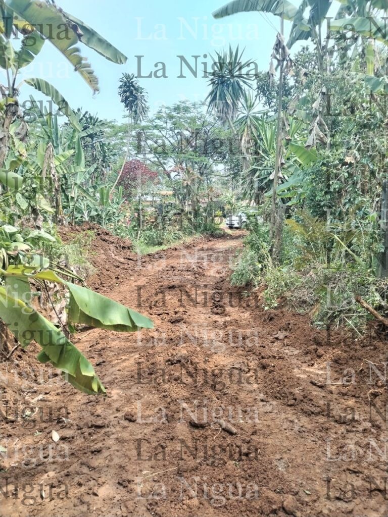 Rehabilita Ayuntamiento camino a comunidades de la Sierra del Gallego