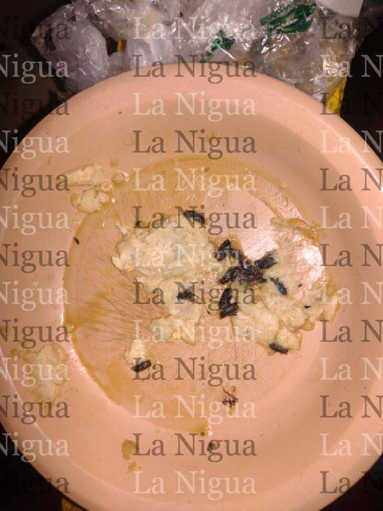 Encuentran moscas en manteca