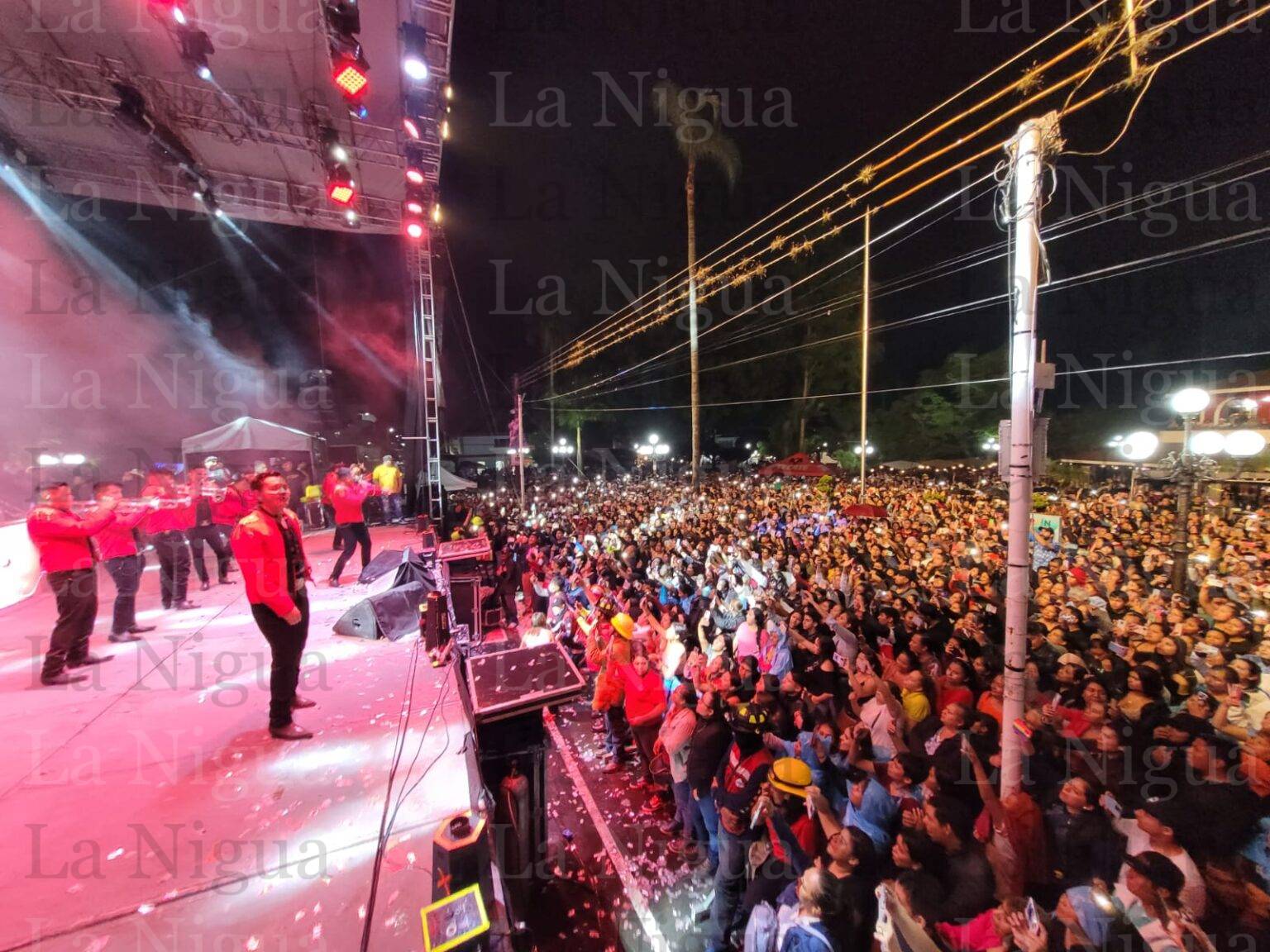 Conquista Edwin Luna a Fortinenses, éxito total en concierto