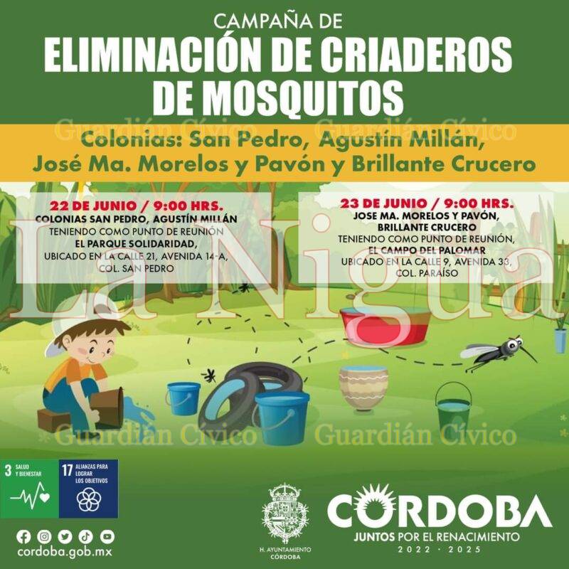 Eliminarán criaderos de mosco en cuatro colonias de Córdoba para prevenir dengue