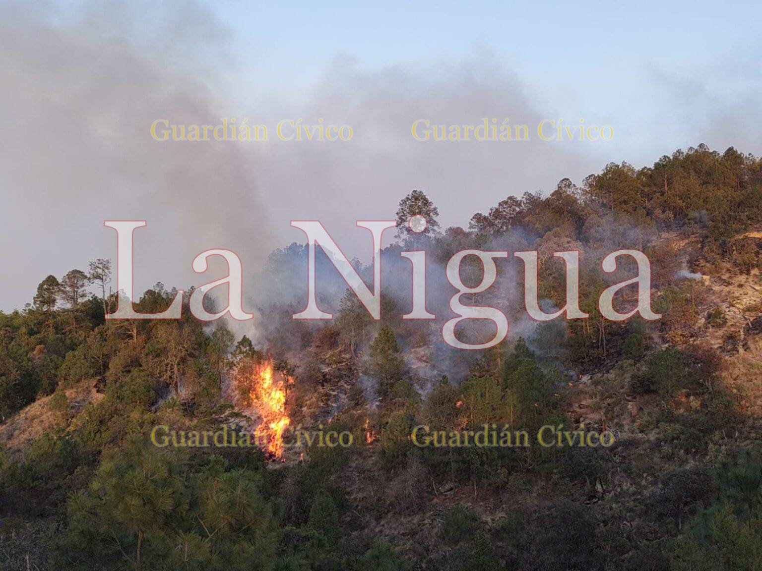 PROHÍBEN QUEMAS AGROPECUARIAS