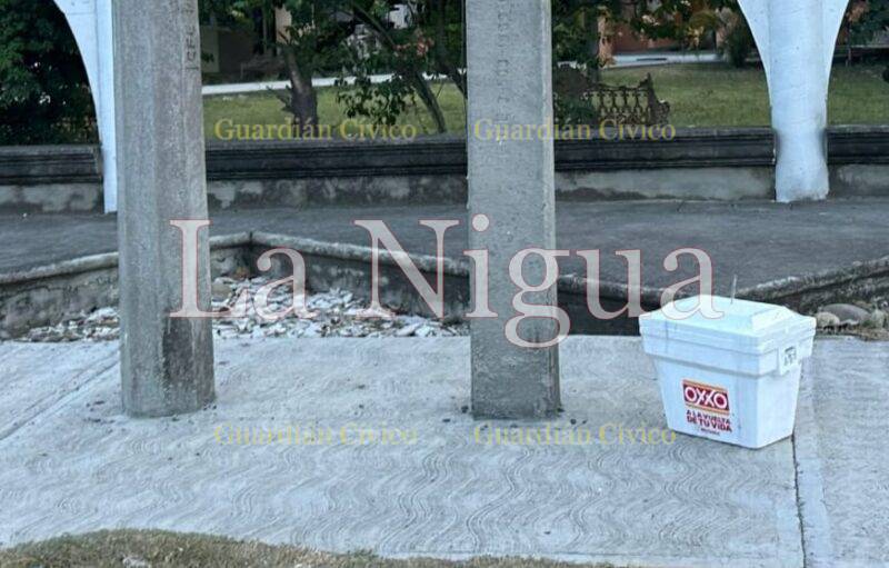 Dejan restos humanos dentro de varias hieleras en Álamo