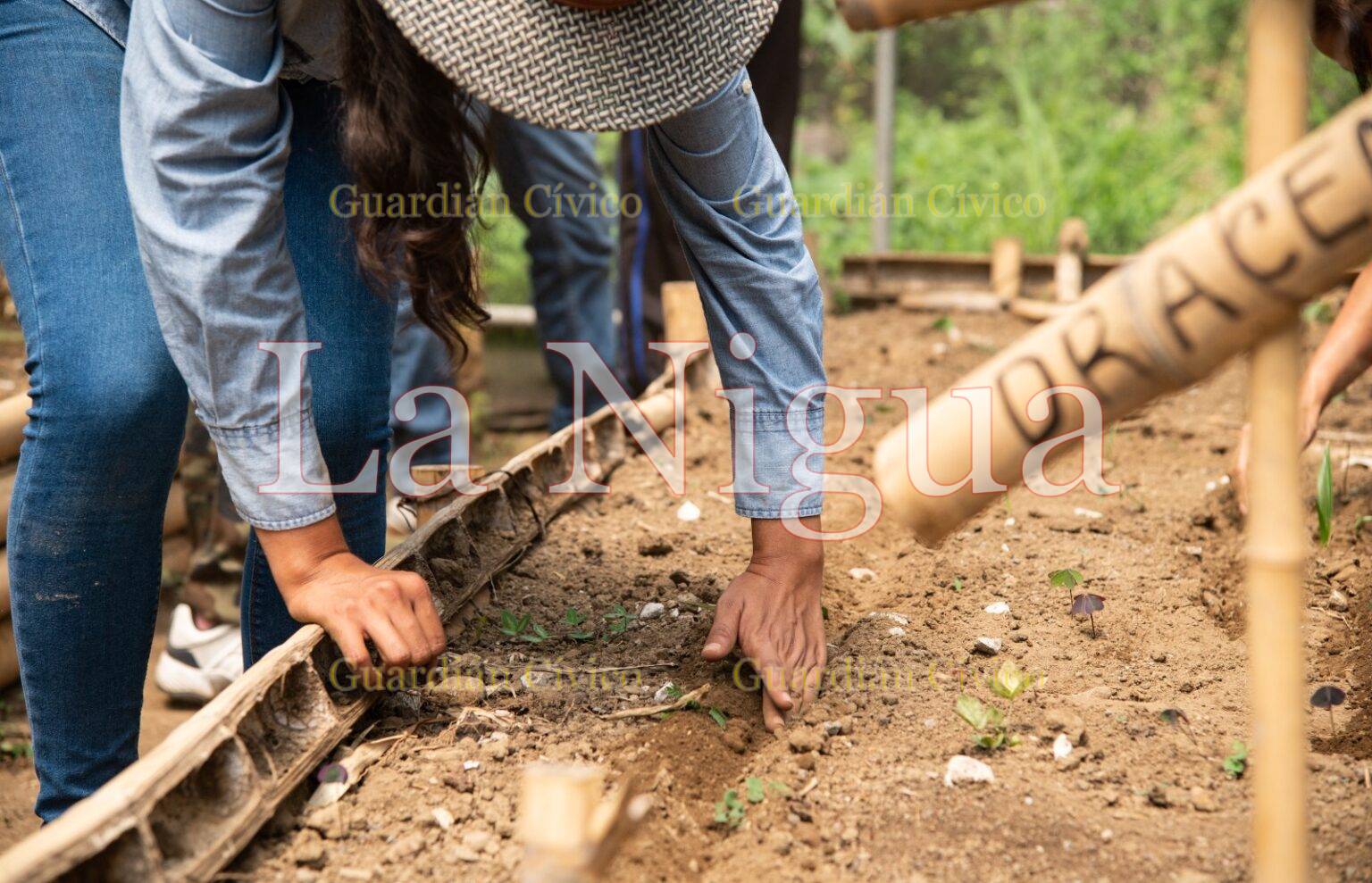 Enseña Fomento Agropecuario a elaboración de Huertos de Traspatio