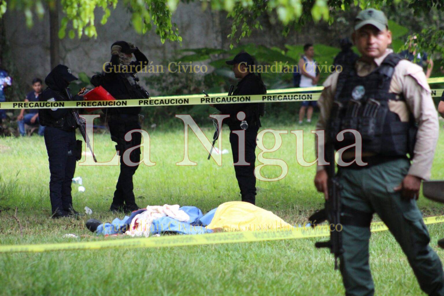 La muerte del trejo desempolva archivos