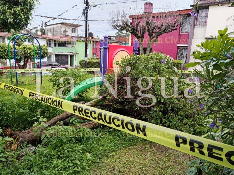 Atienden áreas municipales reportes por lluvias