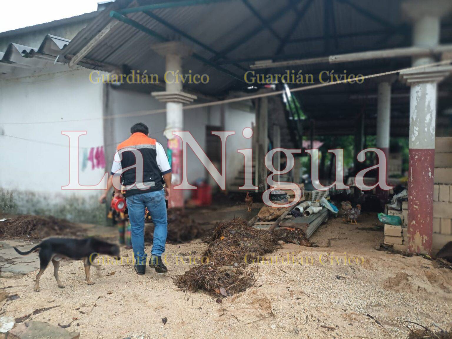 Por lluvias colapsa barda de escuela primaria de Las Choapas