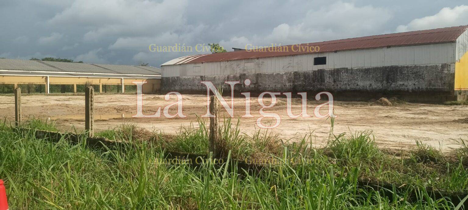 Construirán bodega Aurrera y gasolinera en Las Choapas