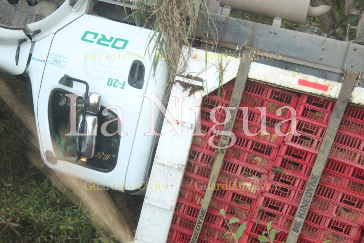 Vuelca camión cargado de pollos