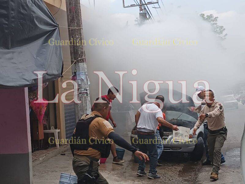 Se incendia vehículo sobre la municipalizada