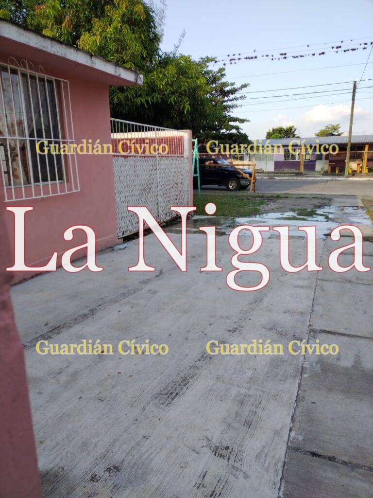 Casas desperdician agua en la Unidad Esquer, de Padelma