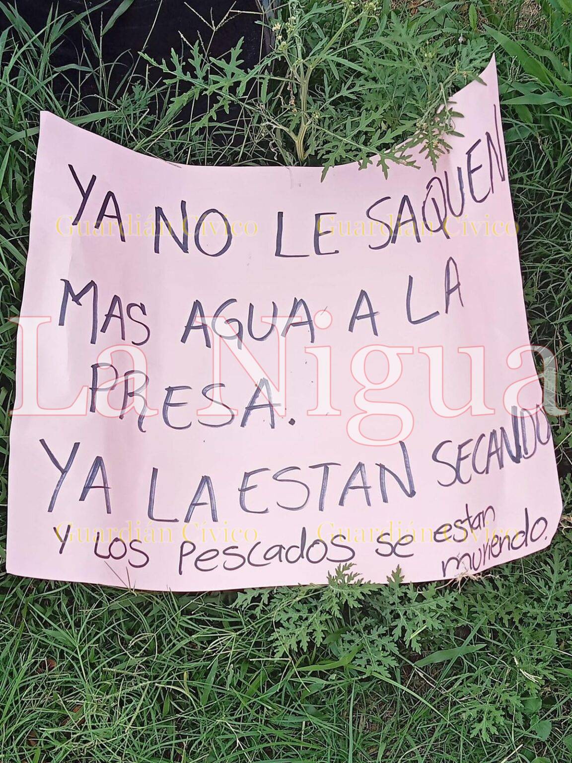 Conflicto entre pescadores y cañeros de El Pánuco, por presa seca
