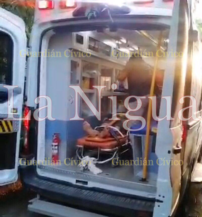 Cae adulto mayor de árbol en Las Choapas