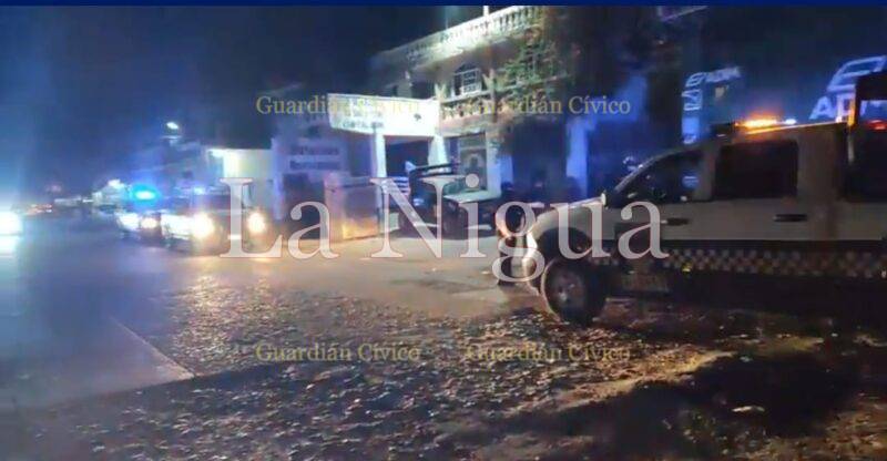 Agreden a balazos a empleados de una tienda agro veterinaria en Papantla