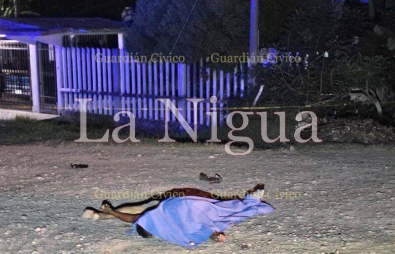 Atropellado y muerto en la autopista Tuxpan a México