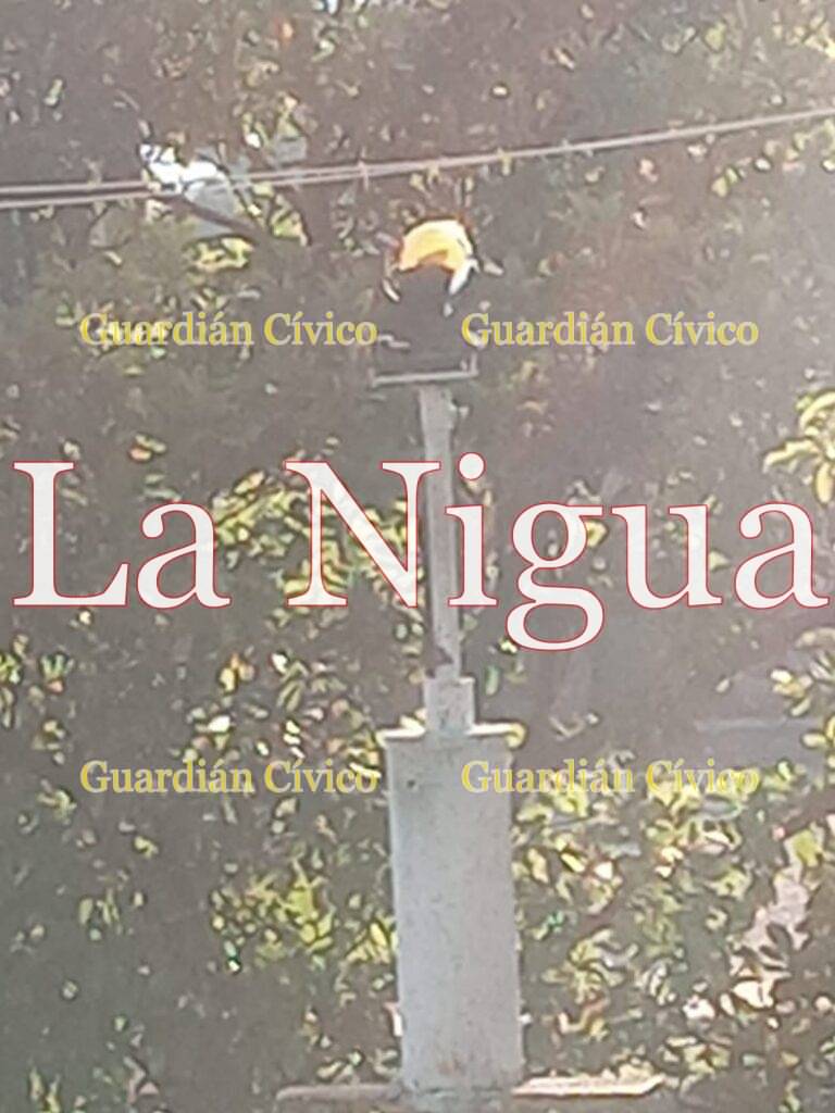 El heliómetro del ingenio El Potrero