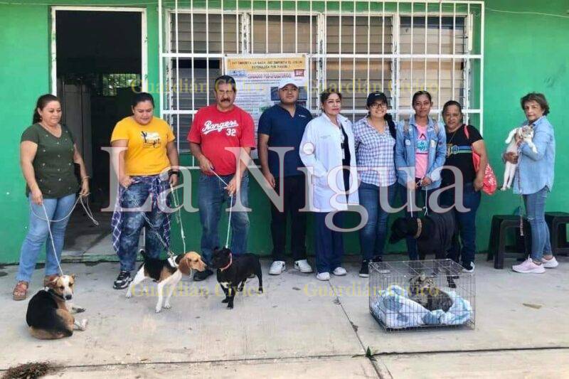 Otra jornada de esterilización con éxito en Soledad.