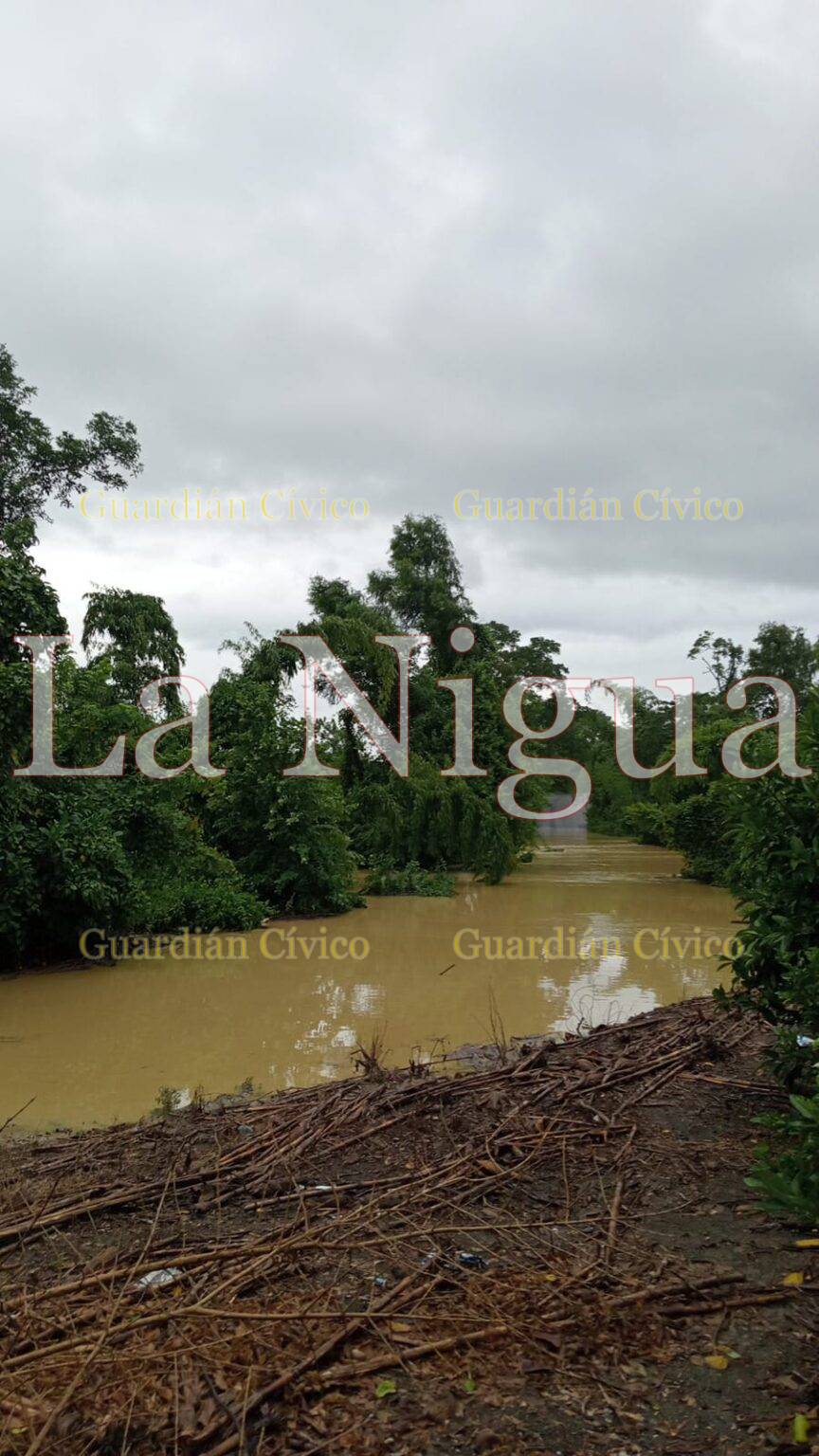 Ante las intensas lluvias, desbordados los arroyos en comunidades de Papantla