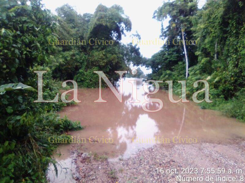 Comunidad de Minatitlán se inunda por desbordamiento del río Uxpanapa