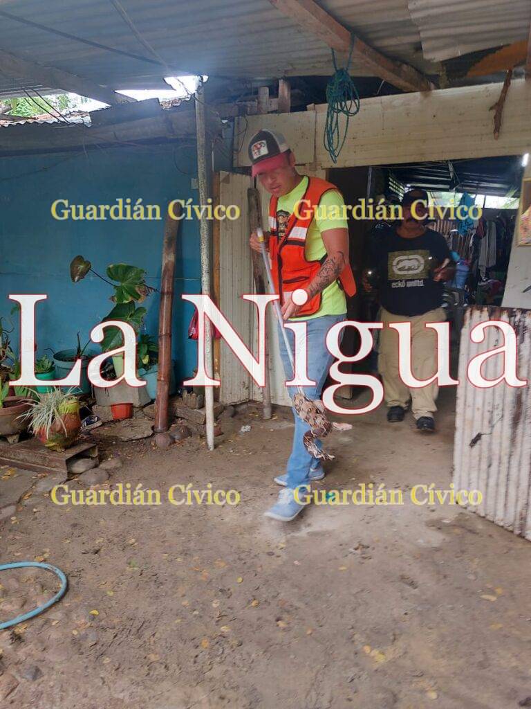 Mazacuata entra a vivienda