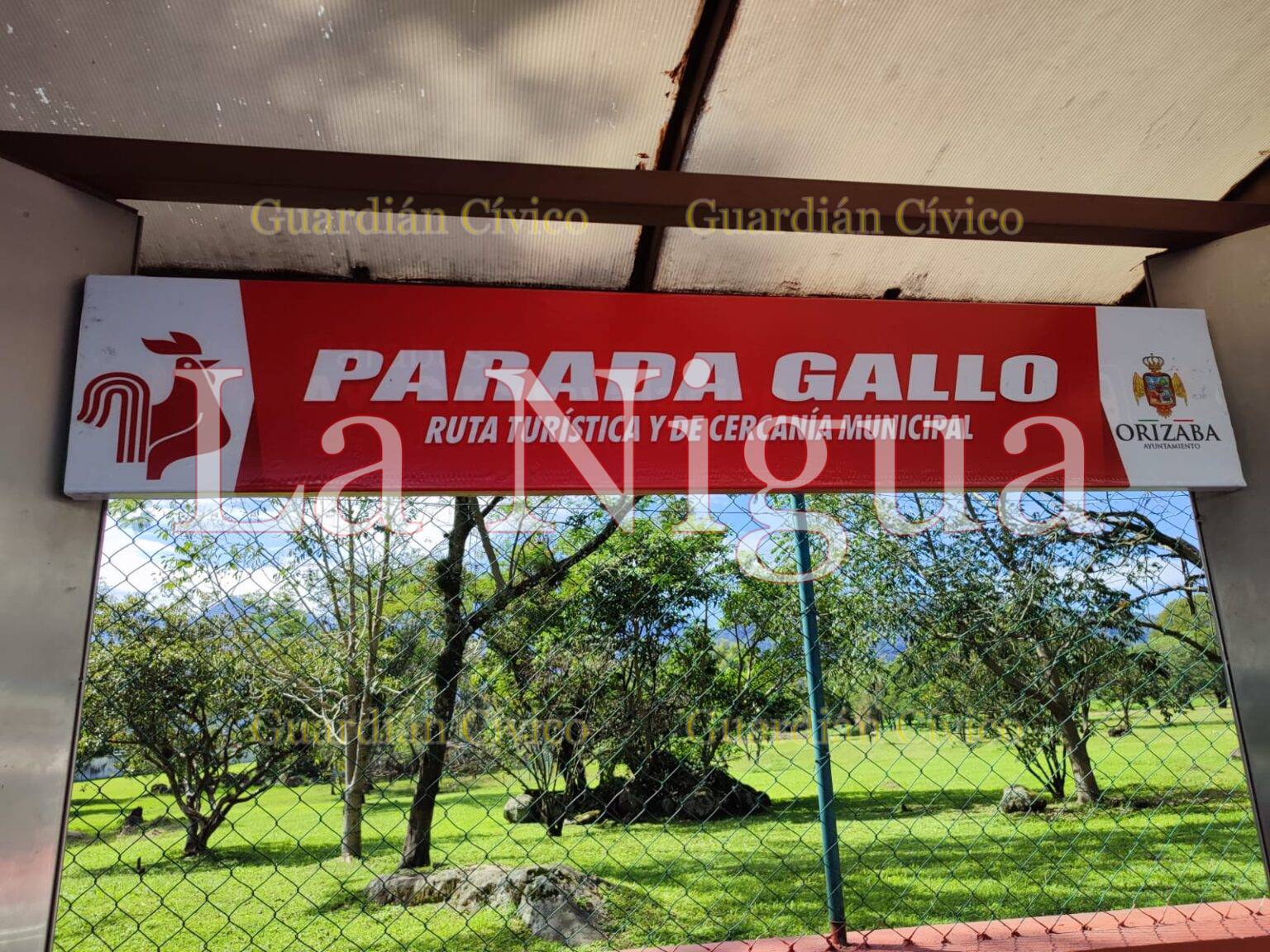 Ayuntamiento de Orizaba ya fue notificado por la Dirección de Transporte Público Estatal que debe regularizar servicio Gallo