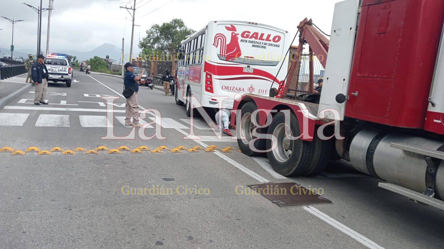 Despluman 3 “Gallos” por operar en la ilegalidad en Orizaba