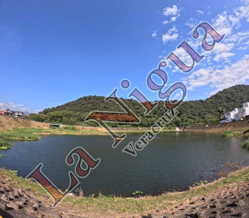 Laguna del Chirimoyo: Refugio vital para 164 Especies de Aves.